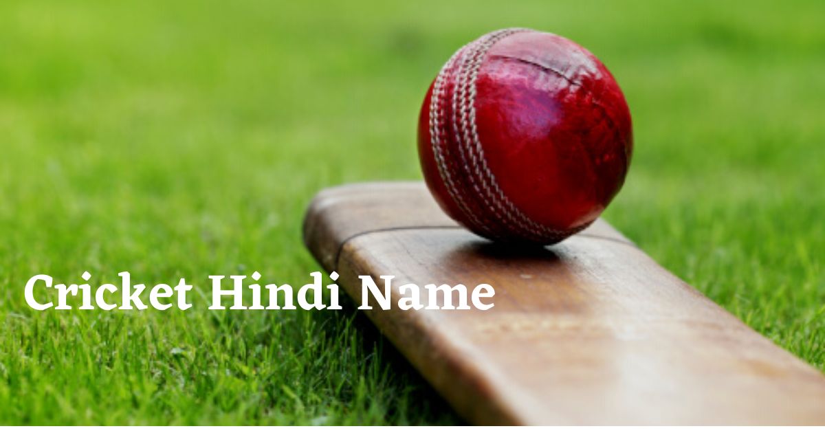Cricket Hindi Name 